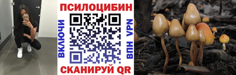 Псилоцибиновые грибы MAGIC MUSHROOMS  дарнет шоп  Мантурово 