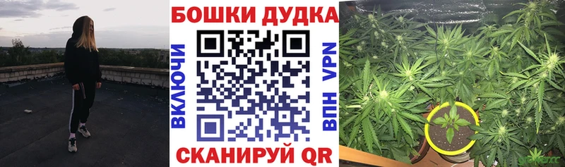 Канабис планчик купить цена Мантурово